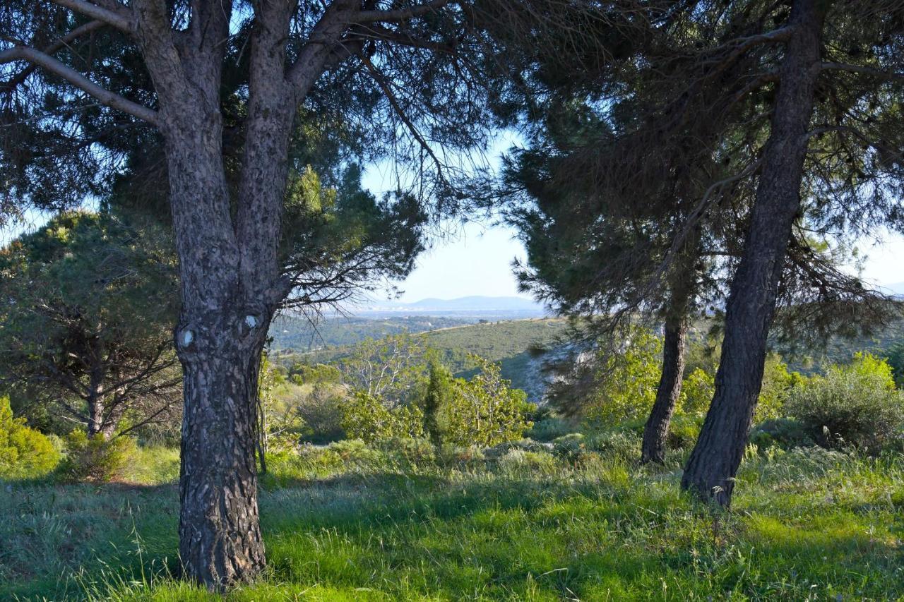 Vila Priamos Kalitehnoupoli Rafína Exteriér fotografie